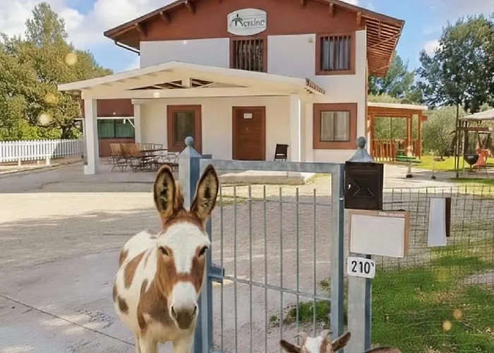 Albergo economico: Le Cerque